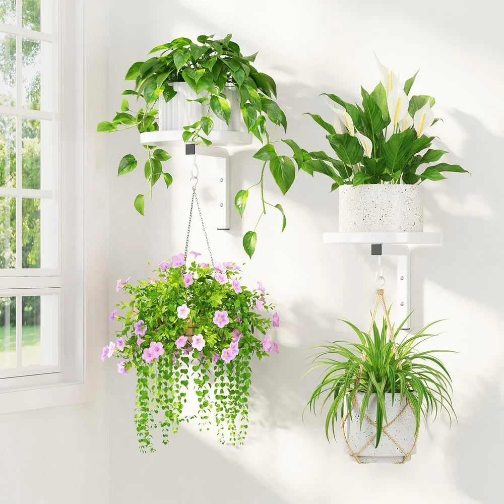Indoor Gardening Essentials