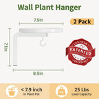 Laszola White Metal Plant Holder