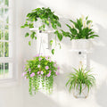 Laszola White Metal Plant Holder