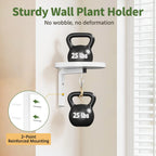 Laszola White Metal Plant Holder