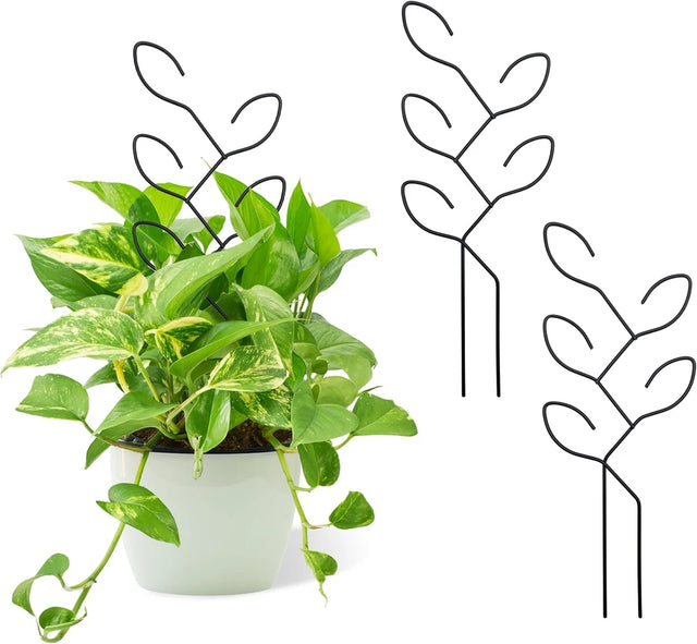 Metal Leaf Indoor Plant Trellis