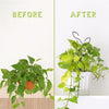 Metal Leaf Indoor Plant Trellis