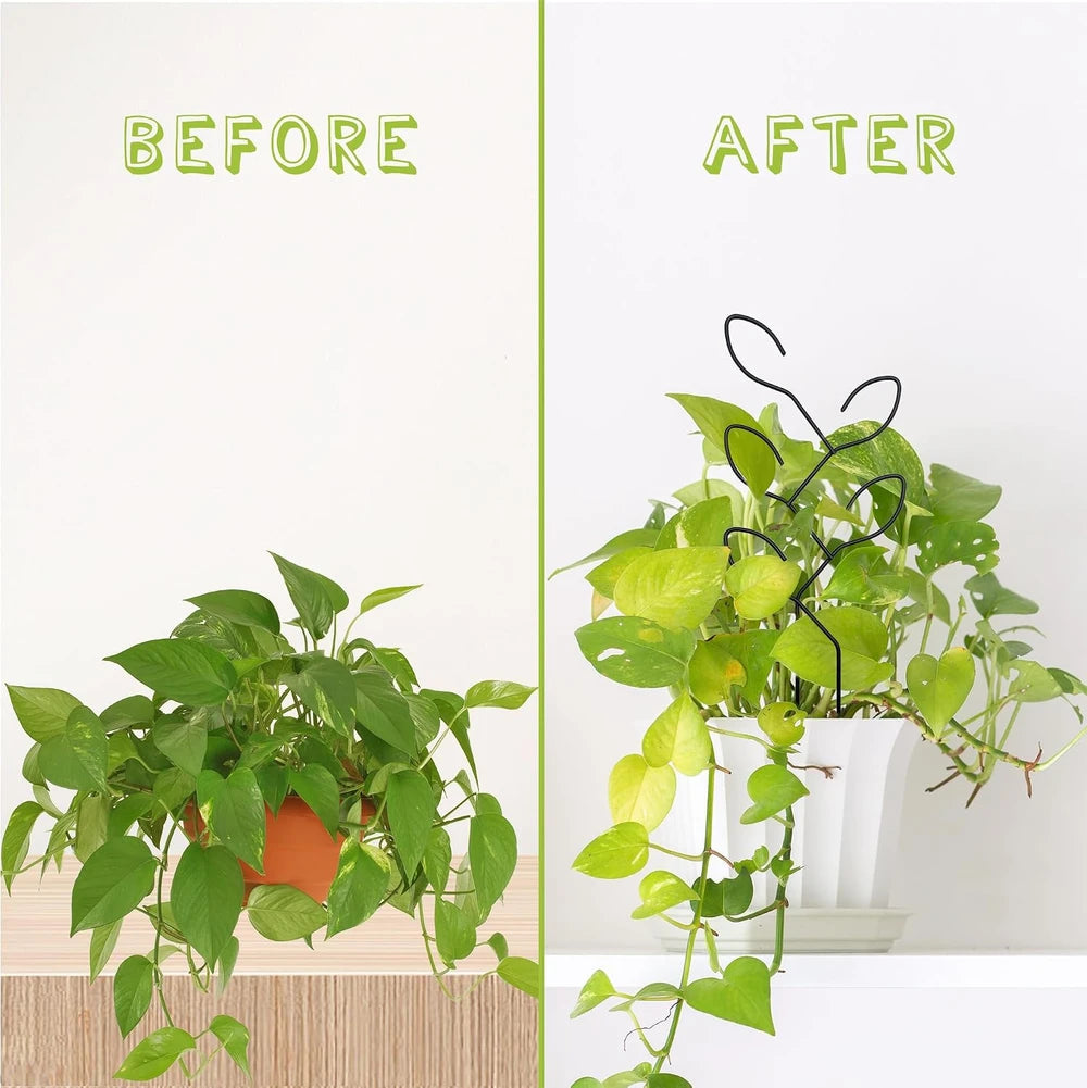 Metal Leaf Indoor Plant Trellis