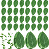 Self-Adhesive Plant Wall Clips