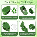 Self-Adhesive Plant Wall Clips